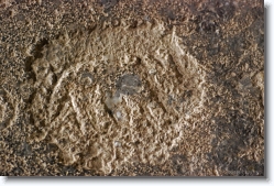 bedsa_caves_18 * floor carvings @ bedsa caves, maharashtra